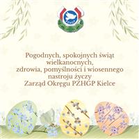 Gołębie zdjęcie